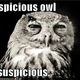 Illustration for article titled Owls
